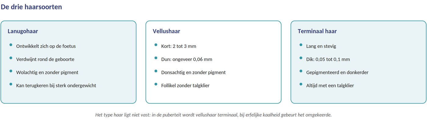 De drie haarsoorten